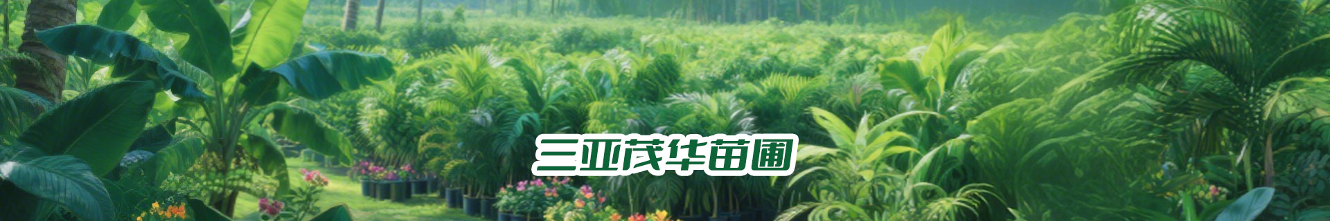 三亚茂华苗圃